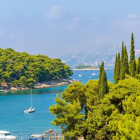 Kiwi Cavtat
