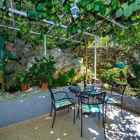 Kiwi Cavtat